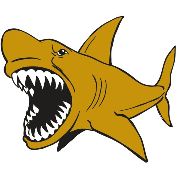 AR  SHARK 21 RC Thumbnail